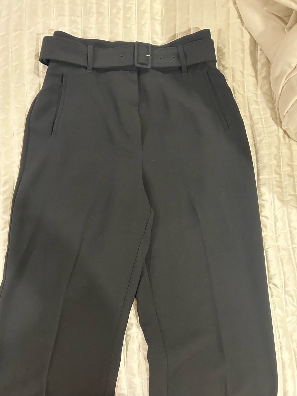 Aritzia Black High-Waist Belted Trousers